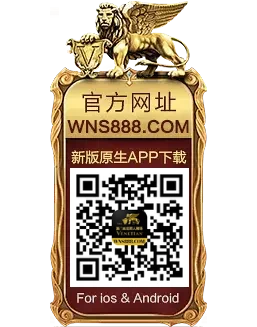 wns888